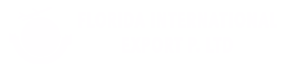 Florida International Export
