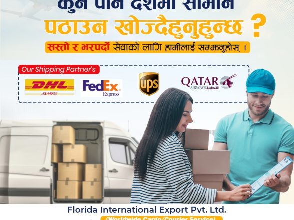 Why Choose Florida International Export and Cargo Services?